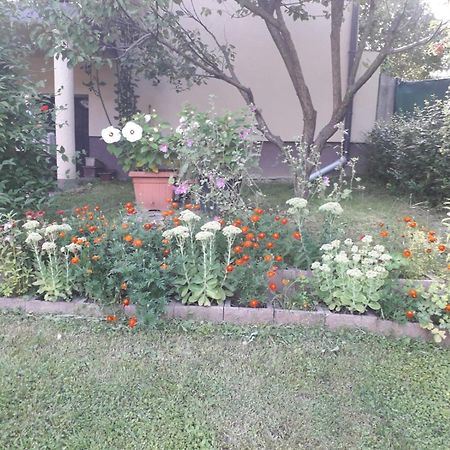 Kuca Za Odmor Bajtica Villa Jesenovec Bagian luar foto