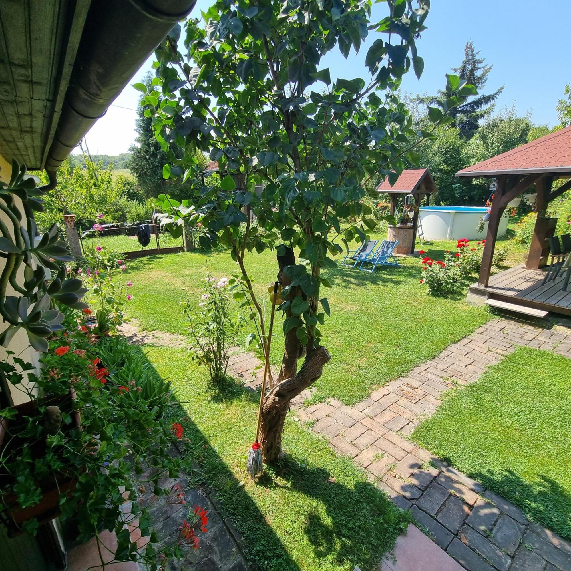 Kuca Za Odmor Bajtica Villa Jesenovec Bagian luar foto