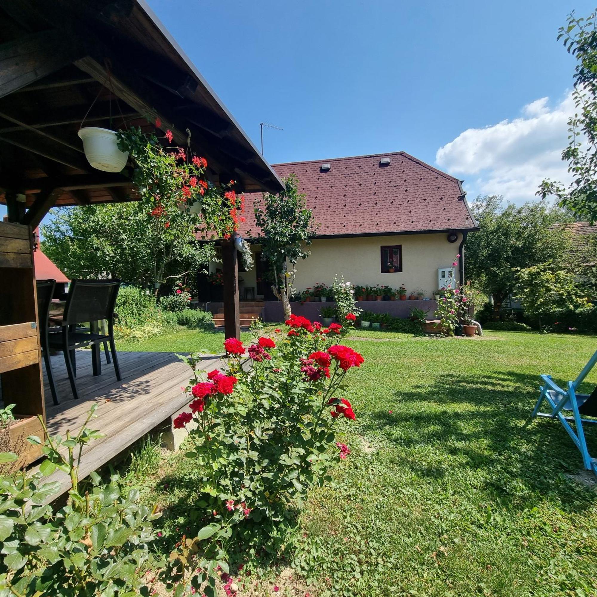 Kuca Za Odmor Bajtica Villa Jesenovec Bagian luar foto