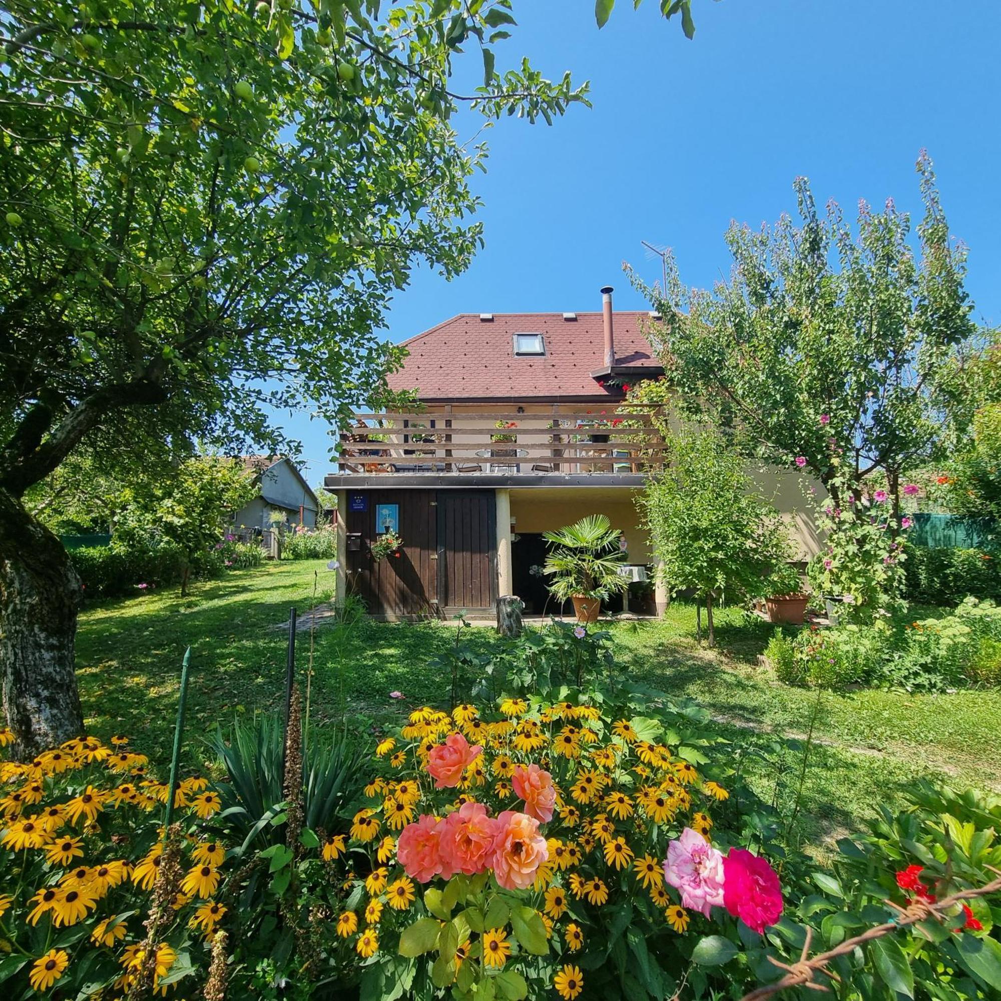 Kuca Za Odmor Bajtica Villa Jesenovec Bagian luar foto