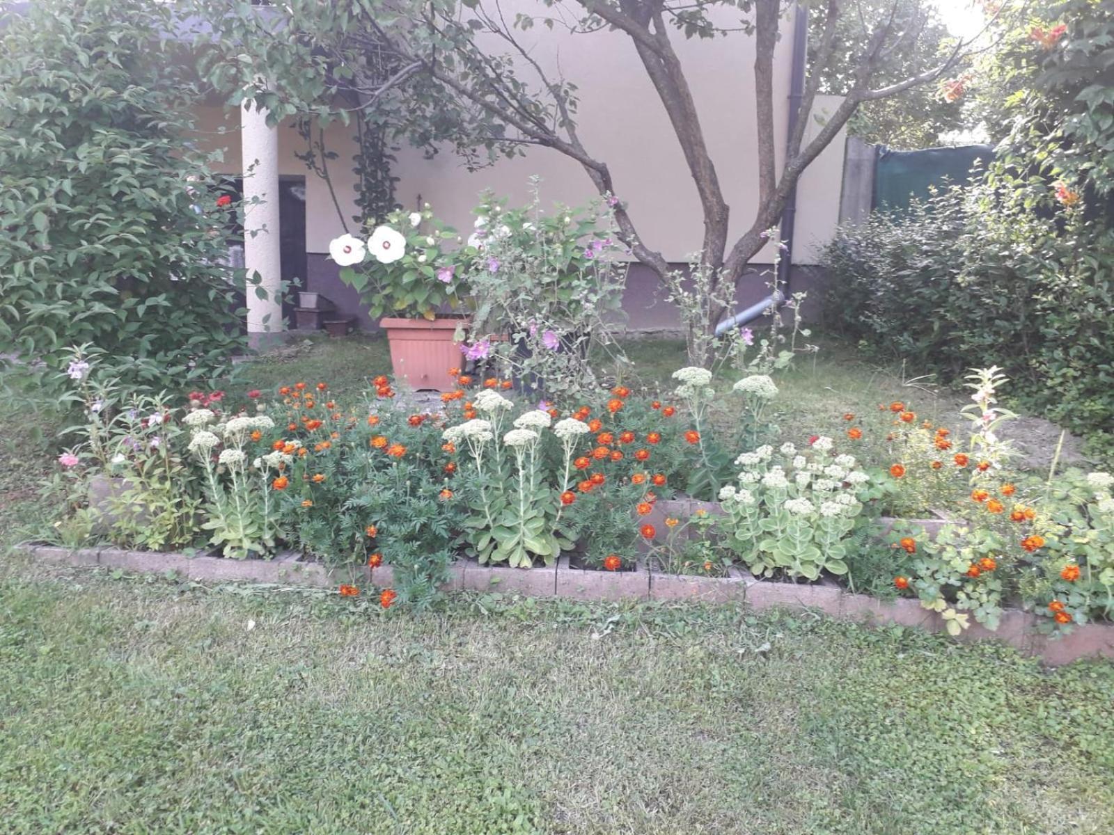 Kuca Za Odmor Bajtica Villa Jesenovec Bagian luar foto