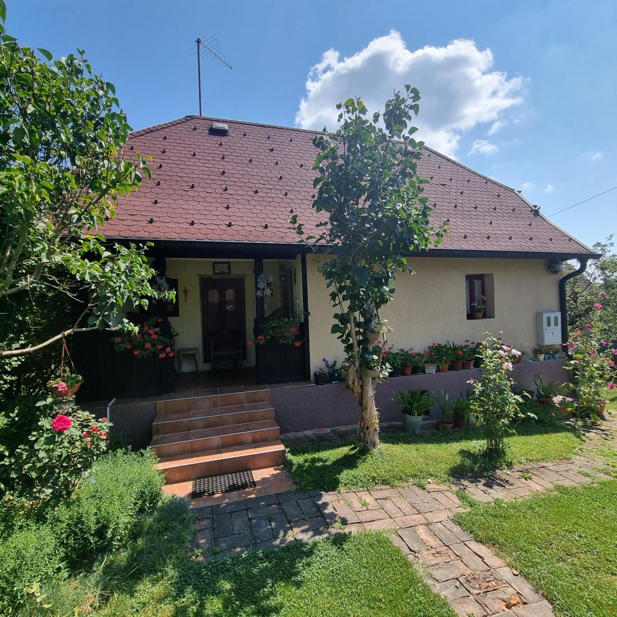 Kuca Za Odmor Bajtica Villa Jesenovec Bagian luar foto